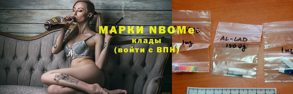 крисы Арсеньев
