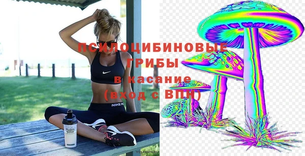 ECSTASY Армянск