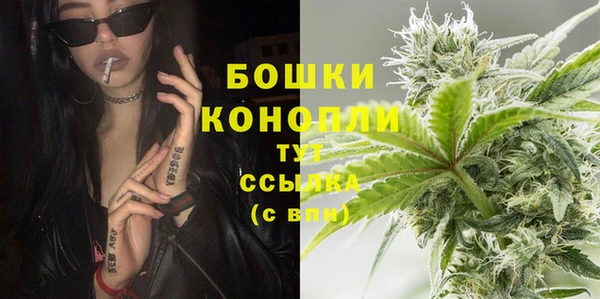 крисы Арсеньев