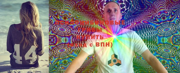 крисы Арсеньев