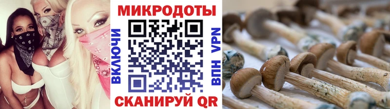 Псилоцибиновые грибы прущие грибы  Певек 